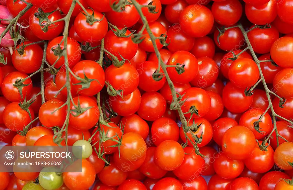 Market fresh vine tomatoes