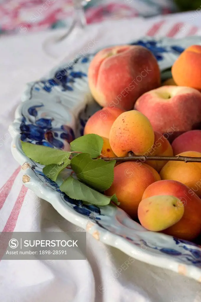 China bowl of apricots and peaches on table cloth