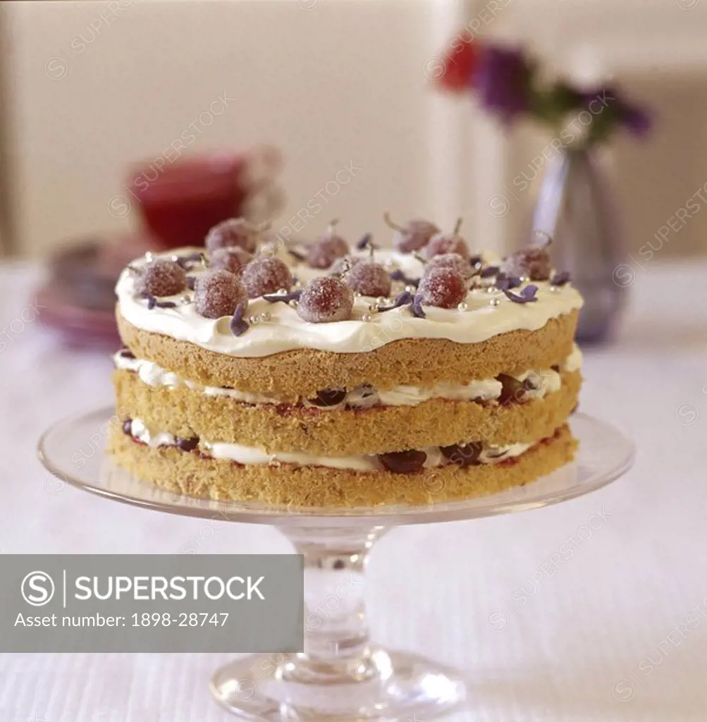 feather light walnut cake topped with sugar_coated grapes on glass cake pedestal.