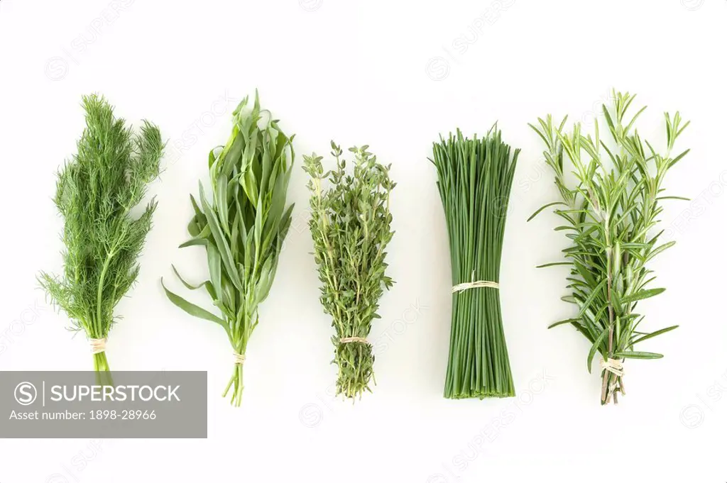 Bundles of assorted herbs lined up in a row.