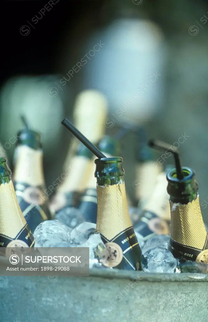 Close up of champagne bottles in ice bucket