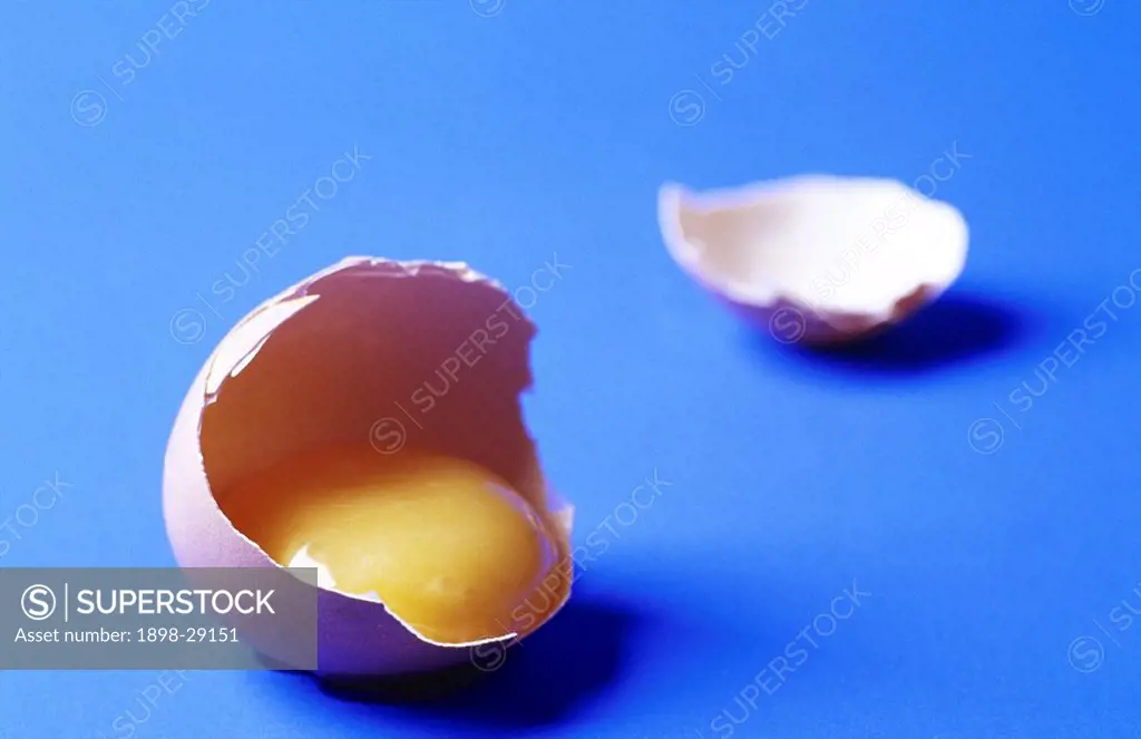 Raw egg yolk in broken shell