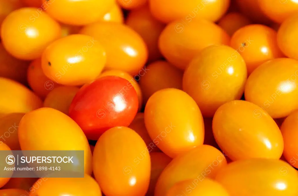 yellow mini plum tomatoes