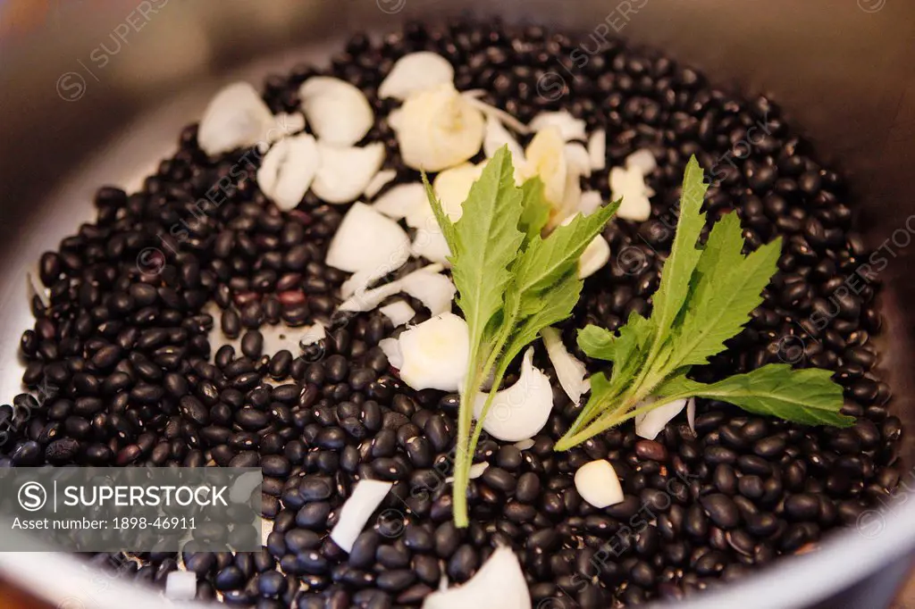 Black Velvet Beans in pot with Epazote Herbs