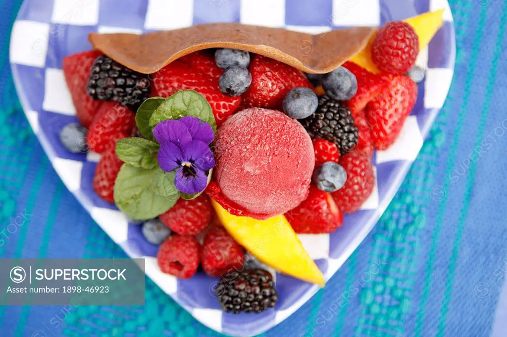 Chocolate Taco with fresh fruit and fruit sorbet