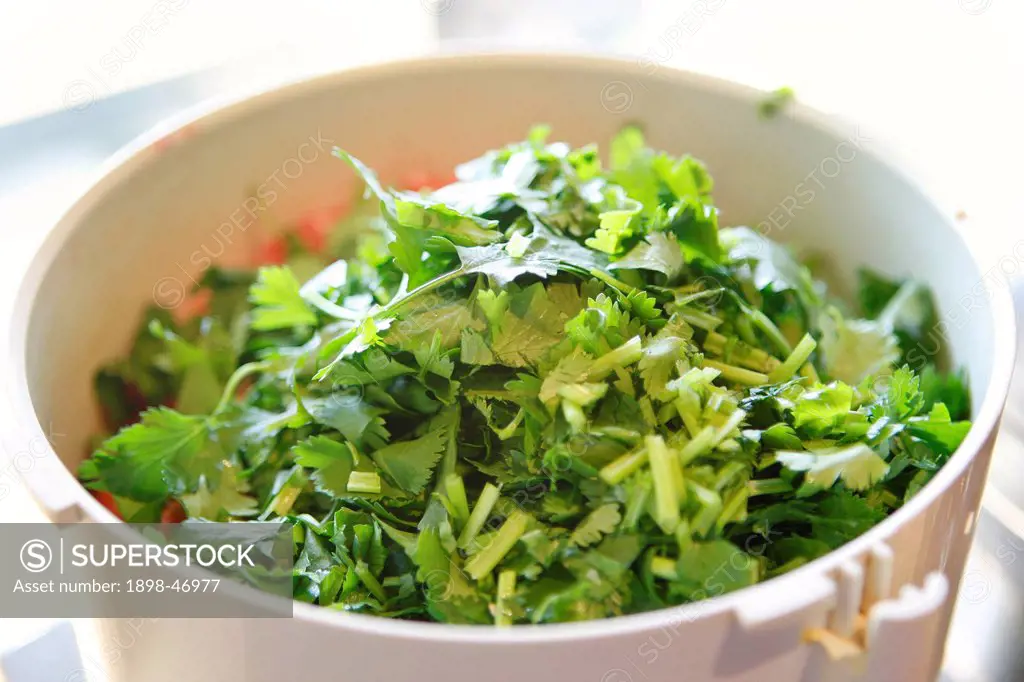 Salad Greens in Mixing Bowl