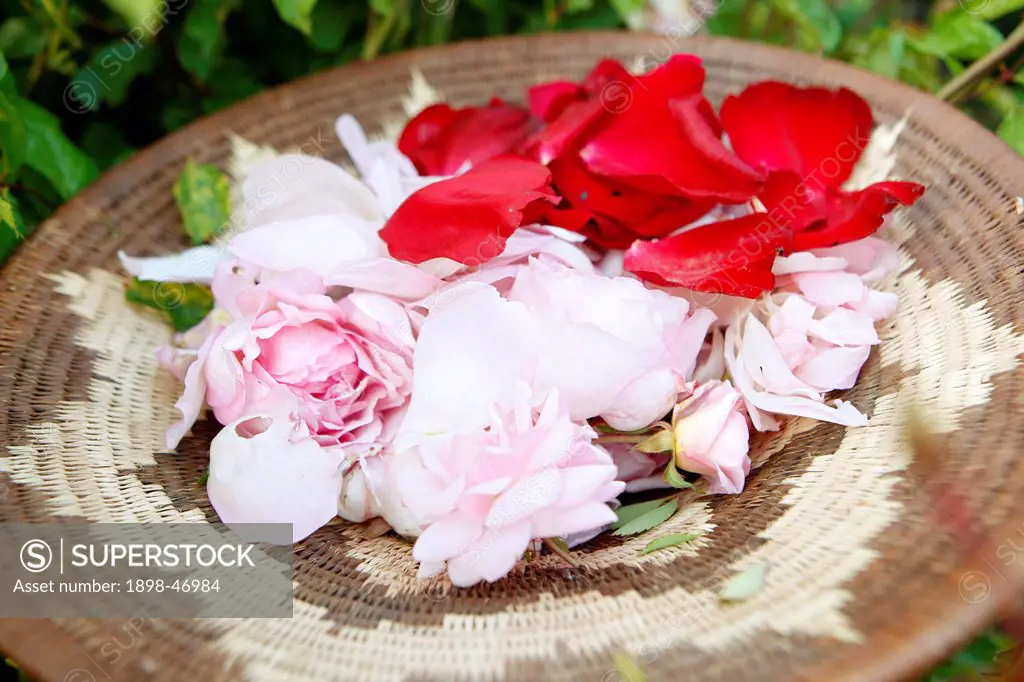 Rose Petals in Basket