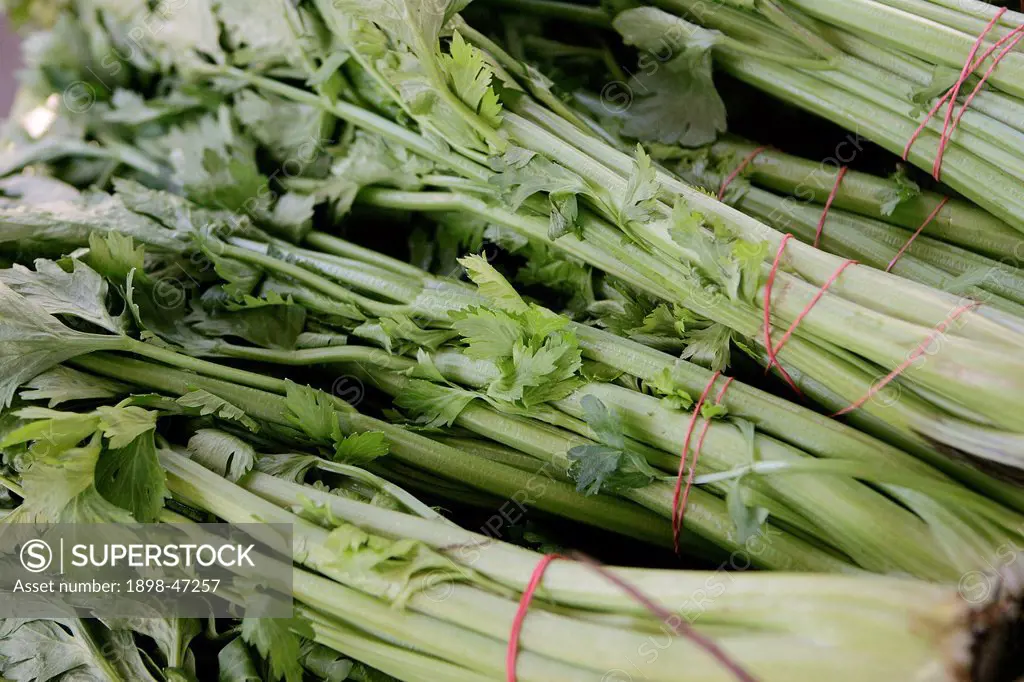 Celery at Farmers Market