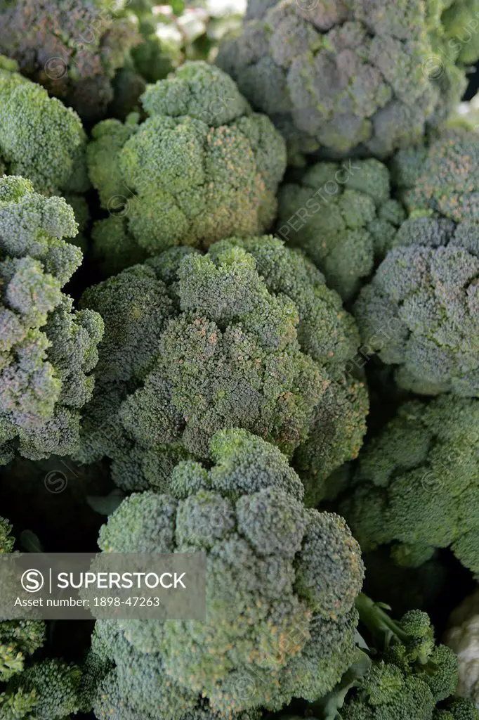 Broccoli at Farmers Market