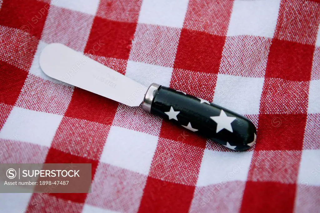 Red and White Picnic Blanket with Butter Knife
