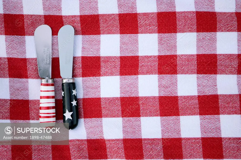 Red and White Picnic Blanket with Butter Knives