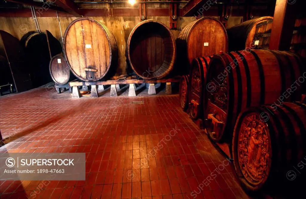Large wine barrels