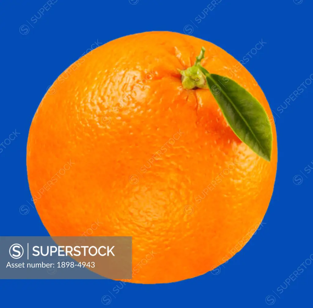 Whole orange on blue