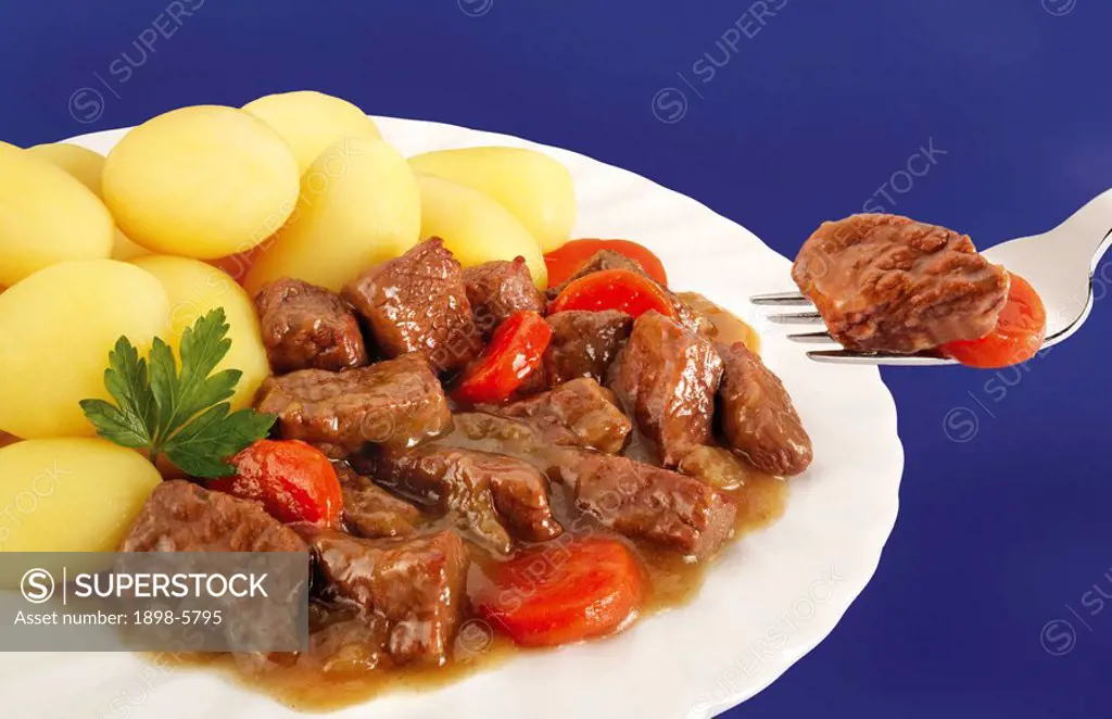 BEEF STEW WITH FORK