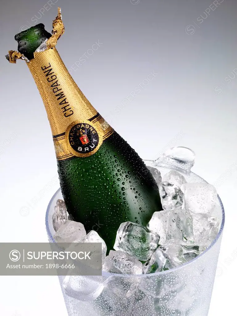CHAMPAGNE IN ICE BUCKET