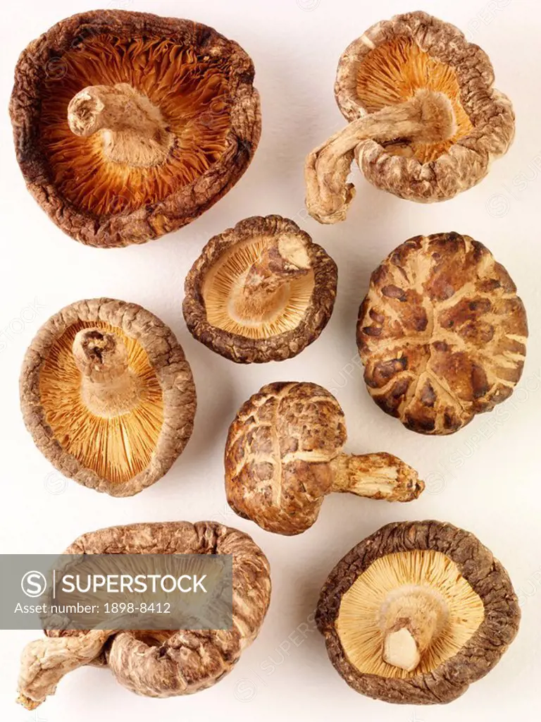 Chinese Mushrooms Hoku