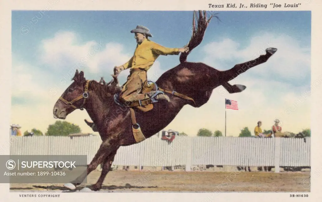 Cowboy Riding Horse 'Joe Louis'. ca. 1943, Elk City, Oklahoma, USA, Texas Kid, Jr., Riding 'Joe Louis'. A past time Range Sport of the Pioneer Southwest, being reproduced by a crack rider during Woodword Elks Rodeo. Stock furnished by Beutler Bros., Elk City, Okla. 
