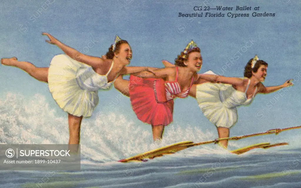 Water Ballet at Beautiful Florida Cypress GardensPostcard. ca. 1952, Water Ballet at Beautiful Florida Cypress GardensPostcard 