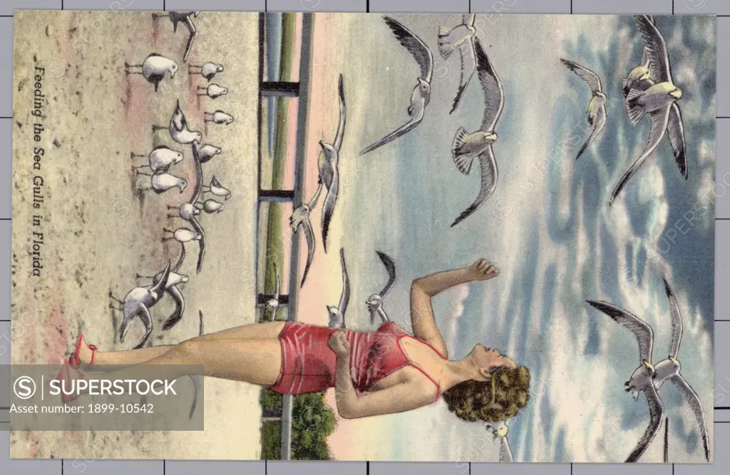 Woman Feeding Sea Gulls. ca. 1946, Florida, USA, Feeding the Sea Gulls in Florida 