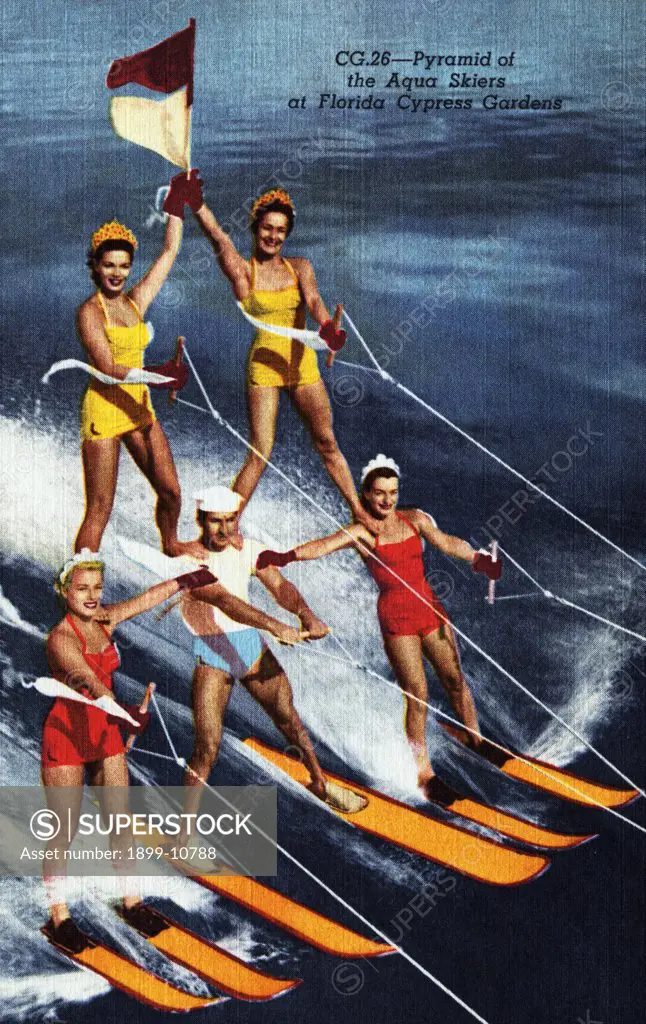 Postcard of Water Skiers at Cypress Gardens. ca. 1954, The Aqua Skiers perform in echelon formation at Florida's Cypress Gardens. 
