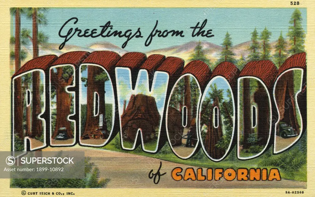 Greeting Card from the Redwoods. ca. 1939, California, USA, R-A Redwood Forest: E-Chandelier Tree: D-The Tree House: W-The Del Norte Wonder Tree: O-Redwood Highway: O-Founders Tree: D-Redwood Burl: S-The Shrine Tree. 