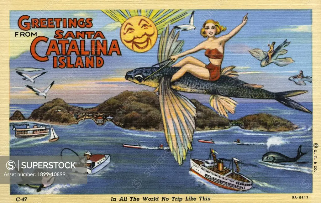 Greeting Card from Santa Catalina Island. ca. 1939, Santa Catalina Island, California, USA, In All The World No Trip Like This. SANTA CATALINA ISLAND. This magic Island enveloped in soft summer air and set in a turquoise sea, is just 26 miles from the mainland at Los Angeles Harbor. This picturesque land is twenty-two miles long, and varies from a quarter to seven and one-half miles in width, an enchanting region of high mountains, circling bays, lofty cliffs, canyons, smooth beaches and calm, t