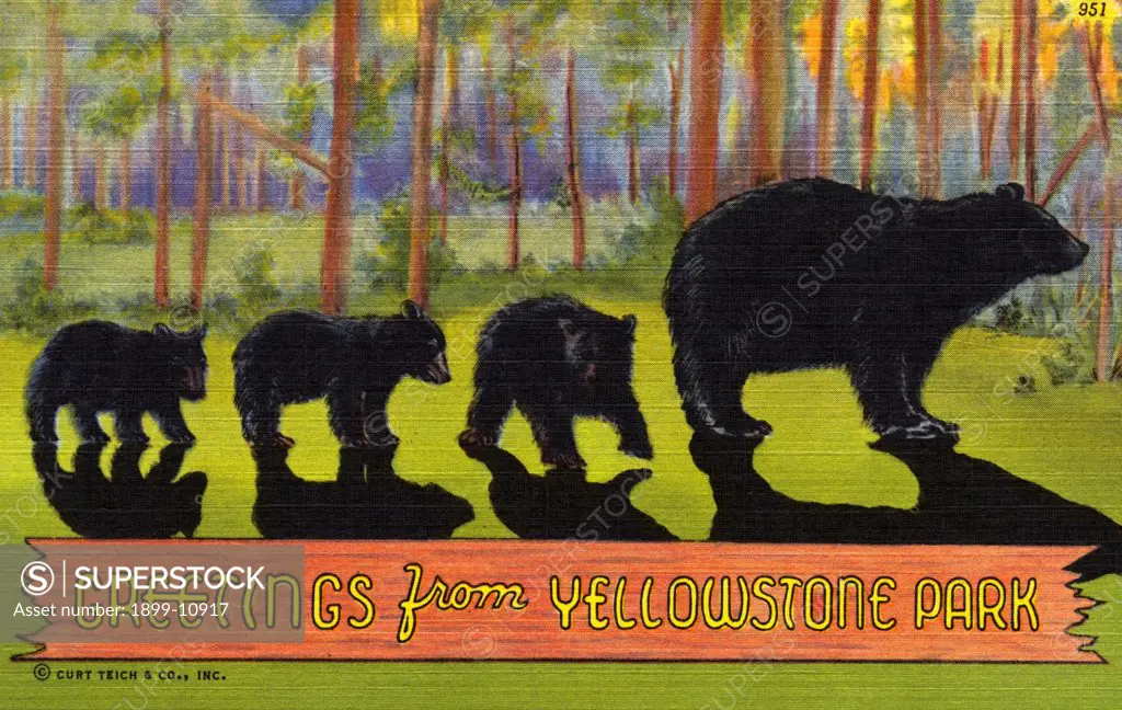 Greetings from Yellowstone Park Postcard. ca. 1939, Greetings from Yellowstone Park Postcard 