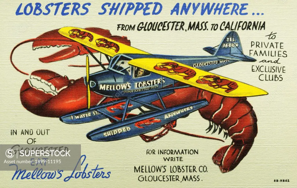 Mellow's Lobsters Airplane. ca. 1948, LOBSTERS SHIPPED ANYWHERE FROM GLOUCESTER, MASS TO CALIFORNIA to PRIVATE FAMILIES and EXCLUSIVE CLUBS. IN AND OUT OF GLOUCESTER EAT Mellow's Lobsters. FOR INFORMATION WRITE MELLOW'S LOBSTER CO. GLOUCESTER, MASS. 