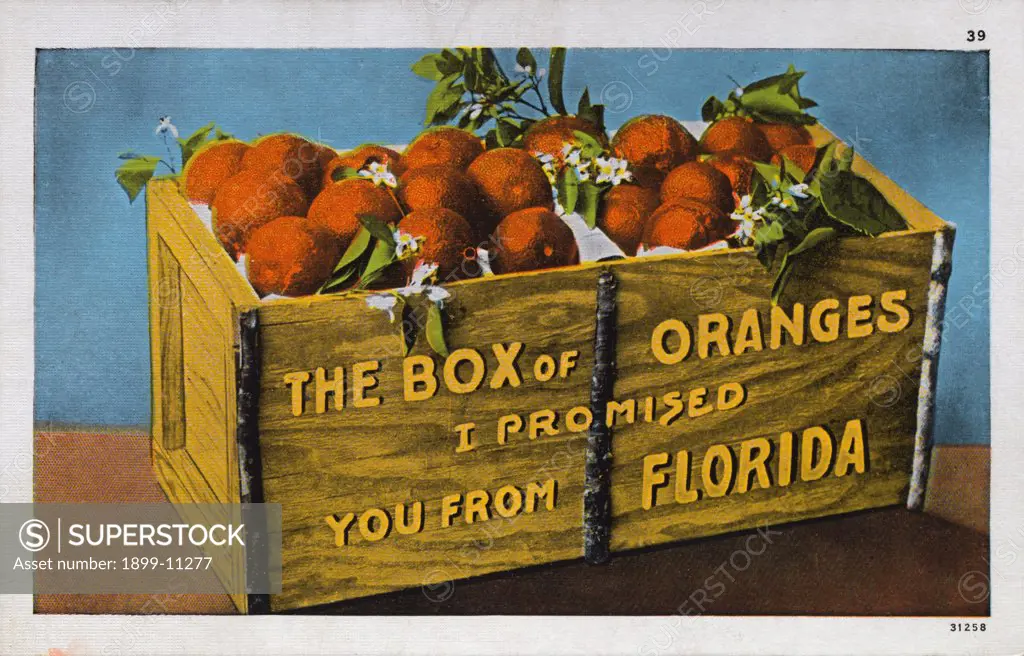 Crate of Florida Oranges. ca. 1911, Florida, USA, THE BOX of ORANGES I PROMISED YOU FROM FLORIDA. 