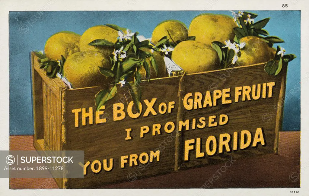 Crate of Florida Grapefruit. ca. 1911, Florida, USA, THE BOX of GRAPEFRUIT I PROMISED YOU FROM FLORIDA. 