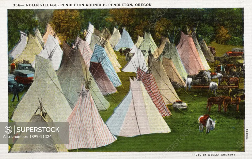 Indian Village at Pendleton Roundup. ca. 1925, Pendleton, Oregon, USA, There are many tribes of Indians in the Northwest and they live on reservations. The Bannocks and the Nezperces of Idaho, the Umatillas of Oregon and the Yakimas of Washington are the chief tribes. Fishing and hunting is part of their livelihood. They have great meetings at the rodeos where they parade in war costumes and perform their tribal dances. 