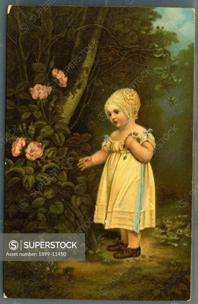 Postcard of Child Looking at Flowers. ca. 1925, London, Westall. Portrait of Philip Sansom when a child. RICHARD WESTALL, born at Hertford in 1765, died 4th of December 1836. Studied at the Royal Academy. Friend of Sir Thomas Lawrence. 