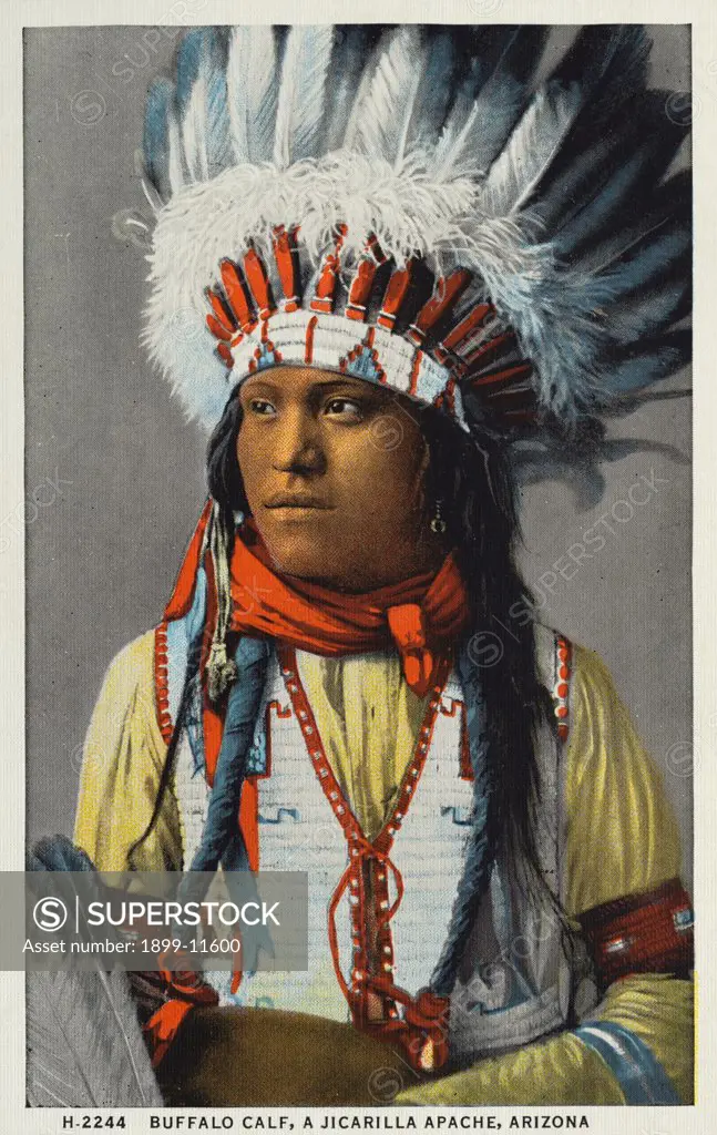 Postcard of Buffalo Calf, A Jicarilla Apache. ca. 1924, Buffalo Calf, A Jicarilla Apache, Arizona. The Apaches are conveniently divided into Eastern and Western bands. The former includes the Mescalero and Jicarilla Apaches: the Western band comprises the Coyotero, Pinal, Aravapai, and others. The Jicarilla number over eight hundred persons and occupy a reservation in Northern New Mexico, containing 416,000 acres. Stock raising and basket making are their chief occupations. Postcard No. H-2244 