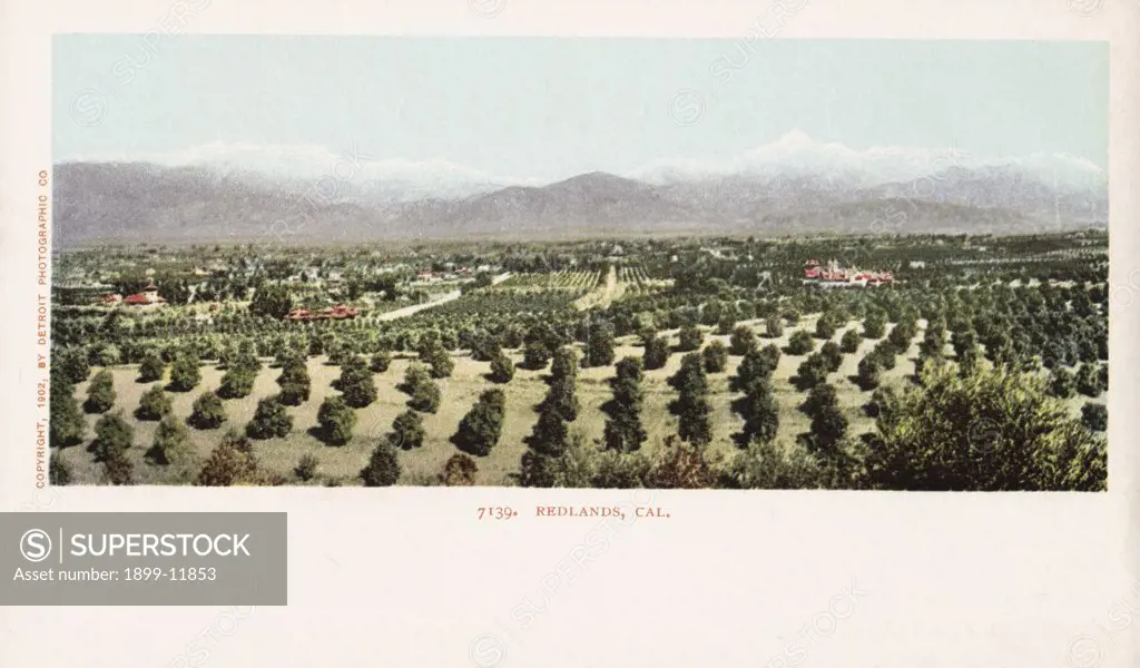 Redlands, Cal. Postcard. 1902, Redlands, Cal. Postcard 