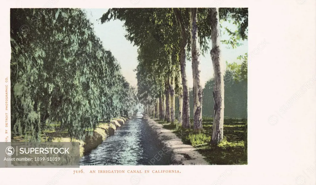 An Irrigation Canal in California Postcard. 1904, An Irrigation Canal in California Postcard 