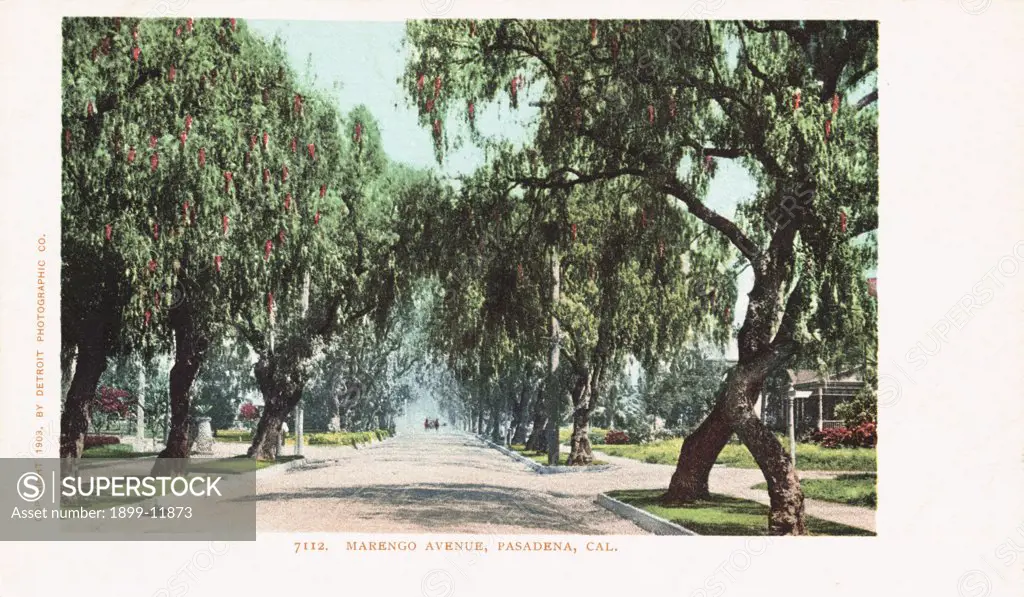 Marengo Avenue, Pasadena, Cal. Postcard. 1903, Marengo Avenue, Pasadena, Cal. Postcard 