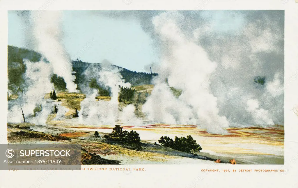 Norris Geyser Basin, Yellowstone National Park Postcard. 1902, Norris Geyser Basin, Yellowstone National Park Postcard 