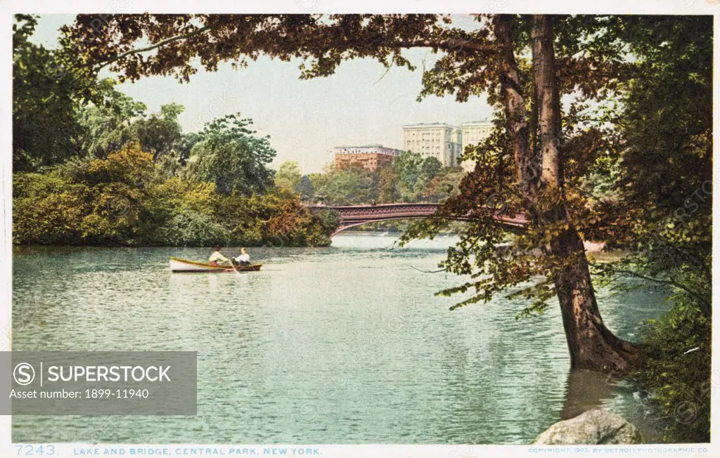 Lake and Bridge, Central Park, New York Postcard. 1903, Lake and Bridge, Central Park, New York Postcard 