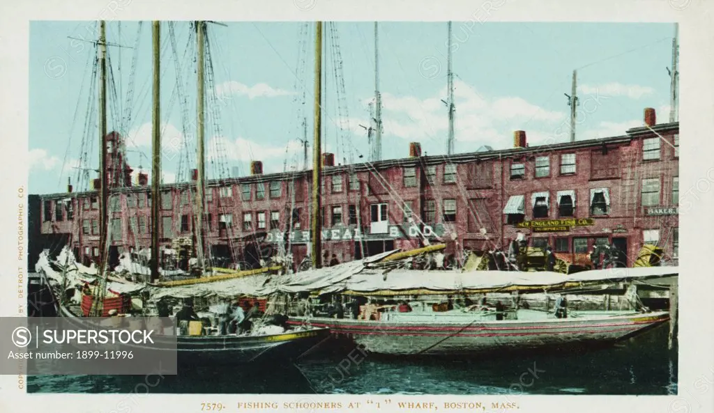 Fishing Schooners at '1' Wharf, Boston, Mass. Postcard. 1904, Fishing Schooners at '1' Wharf, Boston, Mass. Postcard 
