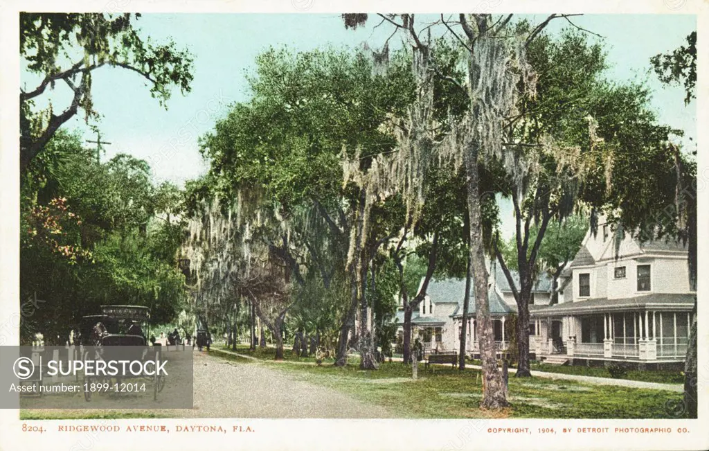 Ridgewood Avenue, Daytona, Fla. Postcard. 1904, Ridgewood Avenue, Daytona, Fla. Postcard 