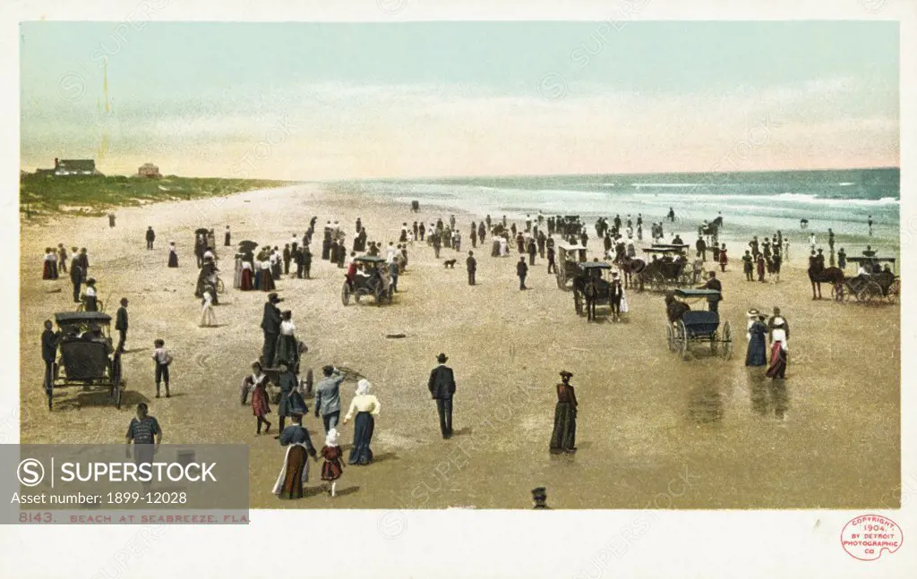 Beach at Seabreeze, Fla. Postcard. 1904, Beach at Seabreeze, Fla. Postcard 