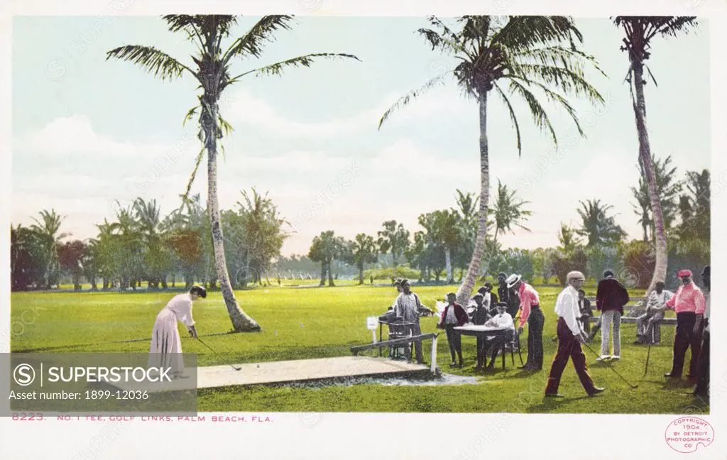 Golf Links Palm Beach, Fla Postcard. 1904, Golf Links Palm Beach, Fla Postcard 