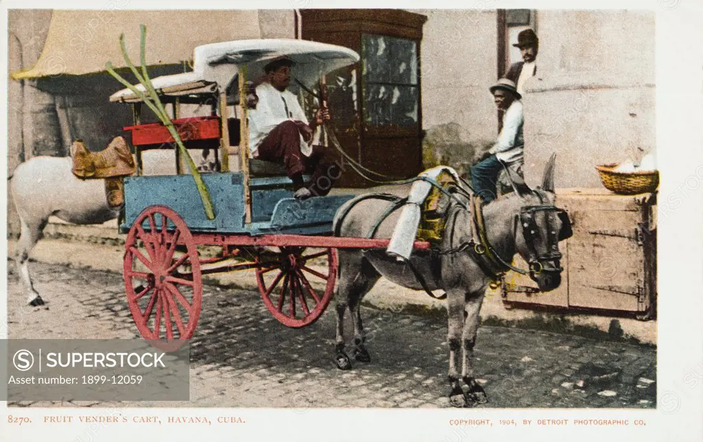 Fruit Vender's Cart, Havana, Cuba Postcard. 1904, Fruit Vender's Cart, Havana, Cuba Postcard 