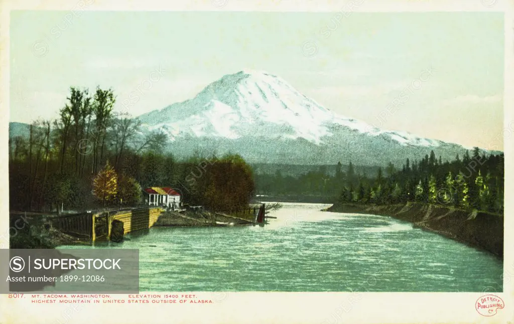 Mt. Tacoma, Washington Postcard. ca. 1905-1930, Mt. Tacoma, Washington Postcard 