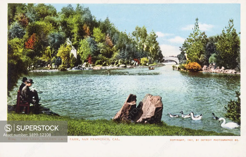 The Lake, Golden Gate Park, San Francisco, Cal. Postcard. 1901, The Lake, Golden Gate Park, San Francisco, Cal. Postcard 