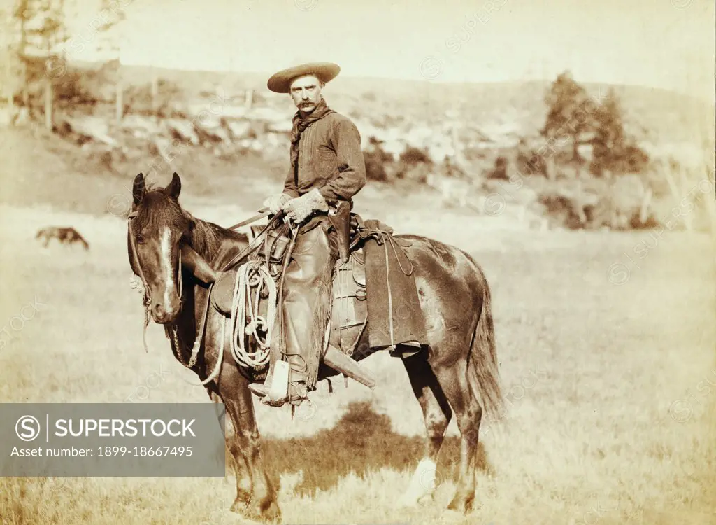 Photograph shows side view of a cowboy on a horse, looking towards the camera 1888.