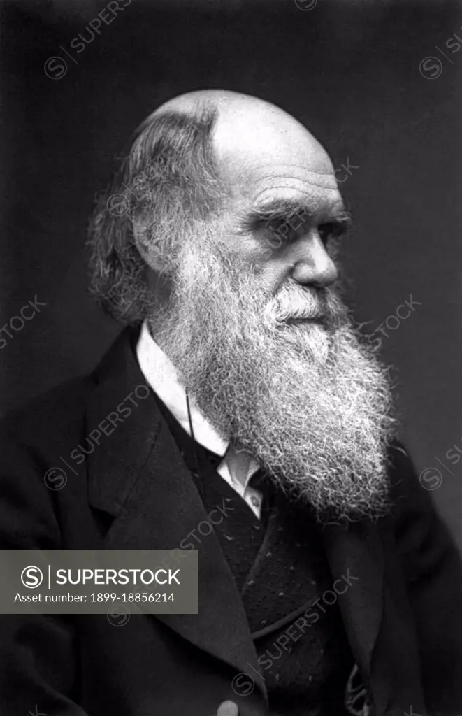 Charles Robert Darwin, FRS (12 February 1809 - 19 April 1882) was an English naturalist and geologist, best known for his contributions to evolutionary theory. He established that all species of life have descended over time from common ancestors, and in a joint publication with Alfred Russel Wallace introduced his scientific theory that this branching pattern of evolution resulted from a process that he called natural selection, in which the struggle for existence has a similar effect to the artificial selection involved in selective breeding.  Darwin published his theory of evolution with compelling evidence in his 1859 book 'On the Origin of Species', overcoming scientific rejection of earlier concepts of transmutation of species. By the 1870s the scientific community and much of the general public had accepted evolution as a fact. However, many favoured competing explanations and it was not until the emergence of the modern evolutionary synthesis from the 1930s to the 1950s that a 