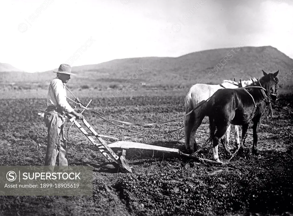 Salt River Project, Arizona Sacator Indian Reservation, farmer plowing a field ca.  between 1918 and 1928.