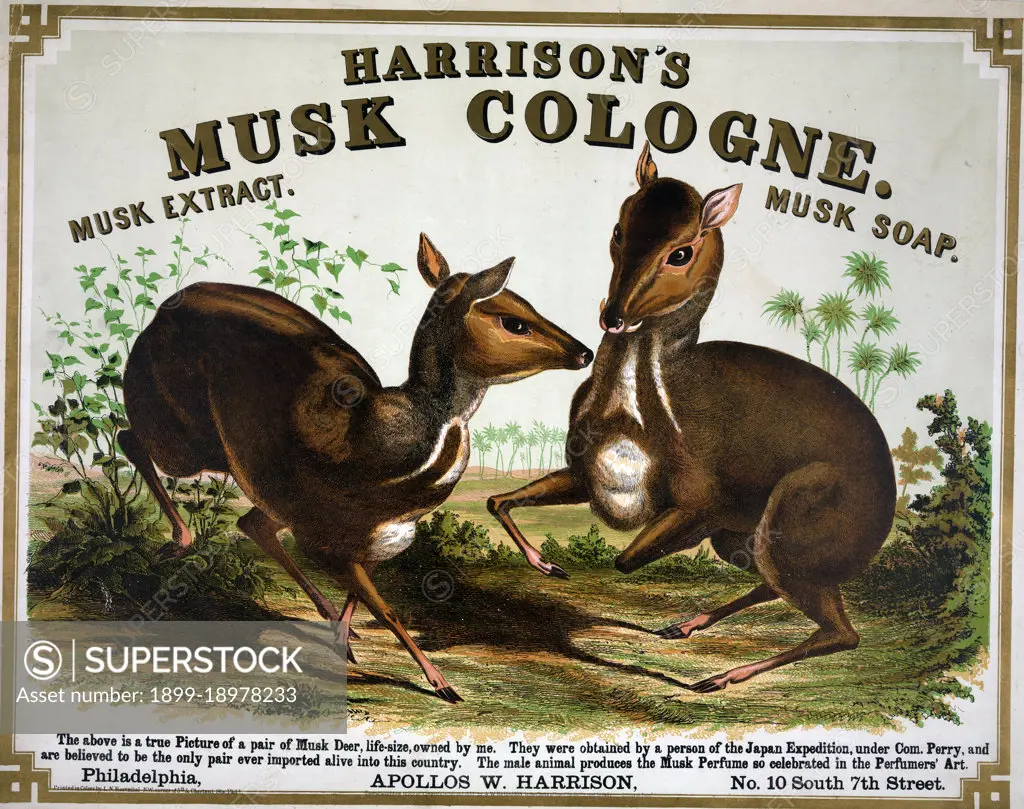 Harrison's musk cologne. Philadelphia musk deer ca. 1857. 
