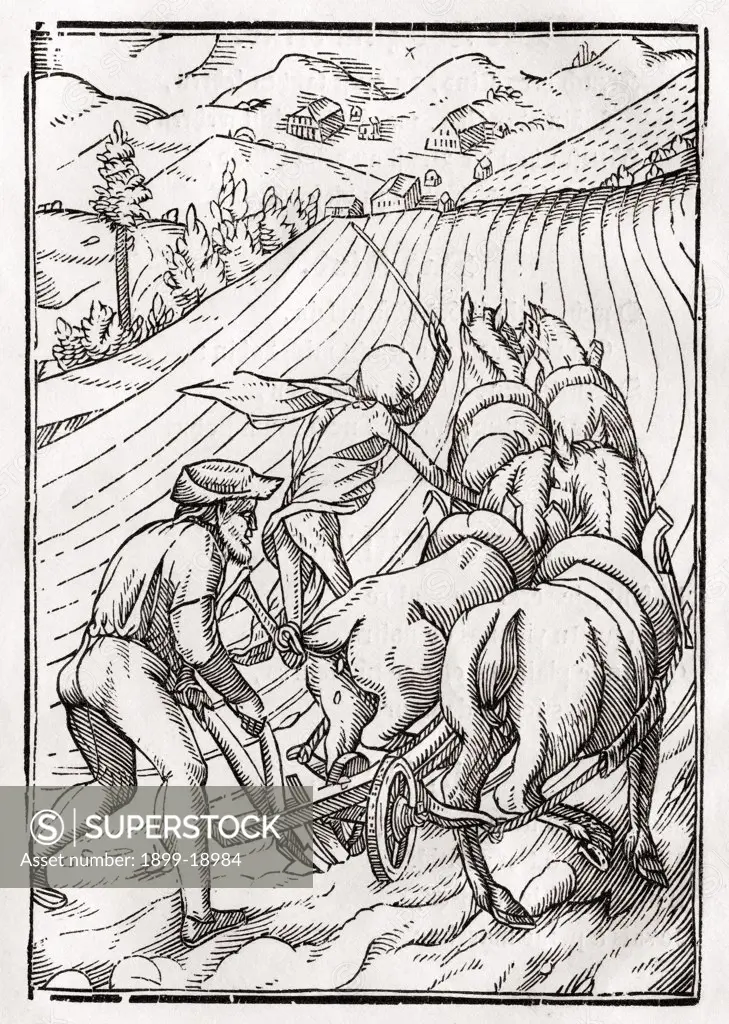 Death comes for the Farmer or Husbandman Woodcut by Georg Scharffenberg after Hans Holbein the Younger From Der Todten Tanz or The Dance of Death published Basel 1843